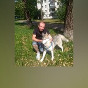  ,   , 41 ,   ,   , c 