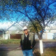   ,   , 64 ,  