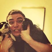 ���������� ������, ���� ������� �����, 33 ����, ������������ ��� ������, ����� � ���������, c�������� ���������