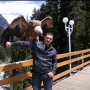 ���������� �������, ���� ������� �������, 41 ���, ������������ ��� ������, ����� � ���������