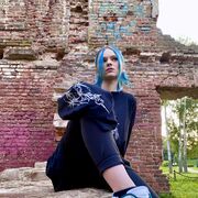 ���������� �����, ����