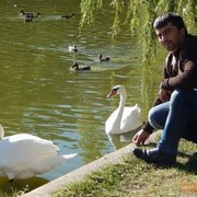  ,   , 41 ,   