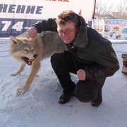 ���������� �������, ���� ������� ���������, 55 ���, ������������ ��� ������, ����� � ���������, c�������� ���������