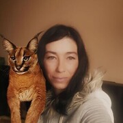 ,   , 41 ,   ,   , c 