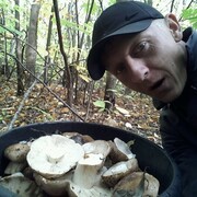  ,   , 40 ,   