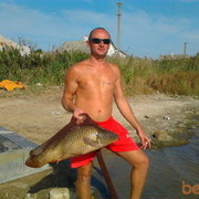 ���������� �����������, ���� ������� ���������, 44 ����, ������������ ��� ������