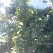  ,   , 36 ,   ,   , c 