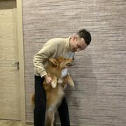 ���������� �������, ���� ����� ������, 24 ����, ������������ 