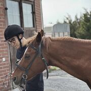 ���������� ������, ���� ������� �����, 31 ���, ������������ ��� ������, ����� � ���������