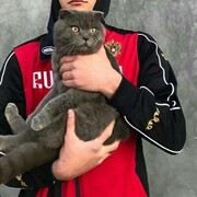 ���������� �������, ���� ������� �����������, 28 ���, ������������ ��� ������, ����� � ���������, c�������� ���������