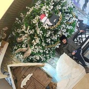  ,   , 31 ,   ,   