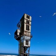 ���������� ������ ��������, ���� ������� �������, 40 ���, ������������ ��� ������, ����� � ���������, c�������� ���������