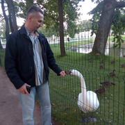  -,   , 55 ,   ,   , c 