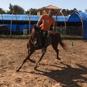 ���������� �����������, ���� ������� ���������, 39 ���, ������������ ��� ������, ����� � ���������