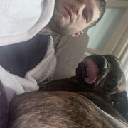 ���������� ����������, ���� ������� ������, 31 ���, ������������ ��� ������, ����� � ���������