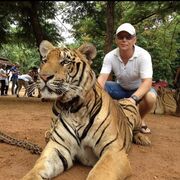 ���������� ������, ���� ������� ������, 50 ���, ������������ ��� ������, ����� � ���������