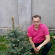  ,   Vit, 80 ,  