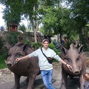 ���������� ������-��-����, ���� ������� ���������, 38 ���, ������������ ��� ������, ����� � ���������, c�������� ���������, ���������