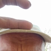   ,   , 43 ,     , c 