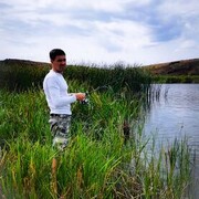  ,  Vladimyr, 50