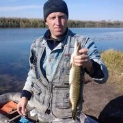  ,   , 54 ,     , c , 