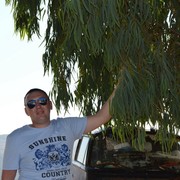 ���������� �����-���������, ���� ������� ����, 41 ���, ������������ ��� ������, ����� � ���������, c�������� ���������