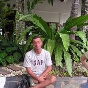  ,   , 61 ,   