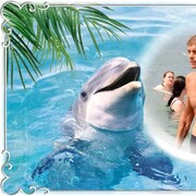 ���������� ����������, ���� ������� ������, 54 ����, ������������ ��� ������