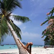 ���������� ���������, ���� ������� ����, 23 ����, ������������ ��� ������, ����� � ���������