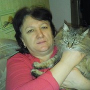 ���������� ��������, ���� ������� ��������, 65 ���, ������������ 