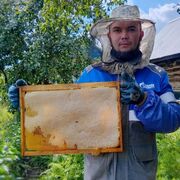 ���������� �����������, ���� ������� �����, 29 ���, ������������ ��� ������, ����� � ���������