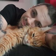 ���������� �������, ���� ������� ����, 36 ���, ������������ ��� ������, ����� � ���������