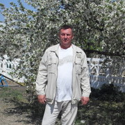  ,   , 65 ,   