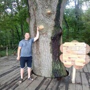 ���������� �������, ���� ������� ���������, 38 ���, ������������ ��� ������, ���������