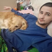 ���������� �����, ���� ������� Roman, 31 ���, ������������ ��� ������, ����� � ���������