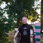 ���������� ������, ���� ������� ���������, 55 ���, ������������ ��� ������, ����� � ���������