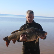 ���������� �������, ���� ������� ���������, 46 ���, ������������ 