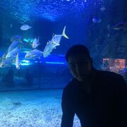 ���������� ������, ���� ������� ����, 33 ����, ������������ ��� ������