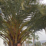  ,   Andrew, 36 ,   