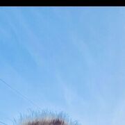 ���������� �������, ���� ������� �����, 40 ���, ������������ ��� ������, ����� � ���������