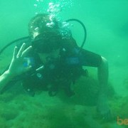 ���������� �����-���������, ���� ������� ����, 40 ���, ������������ ��� ������, ����� � ���������, c�������� ���������