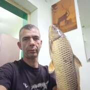 ,   , 41 ,   c 