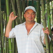  ,   , 61 ,   