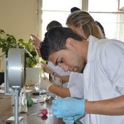 ���������� �������, ���� ������� Rayan, 38 ���, ������������ ��� ������