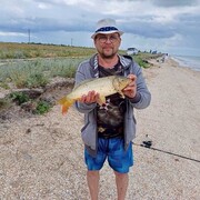  ,   , 49 ,   c 