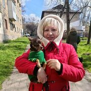 ���������� ������, ���� ������� �������, 71 ���, ������������ ��� c�������� ���������