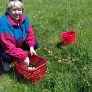 ���������� �����������, ���� ������� �������, 62 ����, ������������ ��� ����� � ���������, c�������� ���������