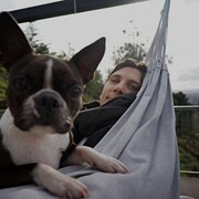 ���������� ����������, ���� ������� ������, 35 ���, ������������ ��� ������, ����� � ���������, c�������� ���������, ���������