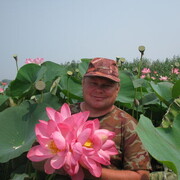 ���������� ����, ���� ������� ������, 57 ���, ������������ ��� ������, ����� � ���������, c�������� ���������