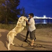 ���������� ������, ���� ������� ������, 41 ���, ������������ ��� ������, ����� � ���������